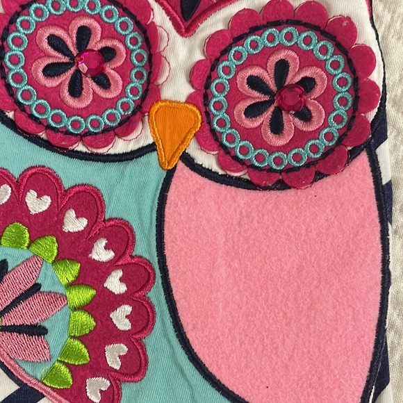 Girls boutique counting daisies appliqué owl pink blue dress 6X bell sleeves - Picture 7 of 7